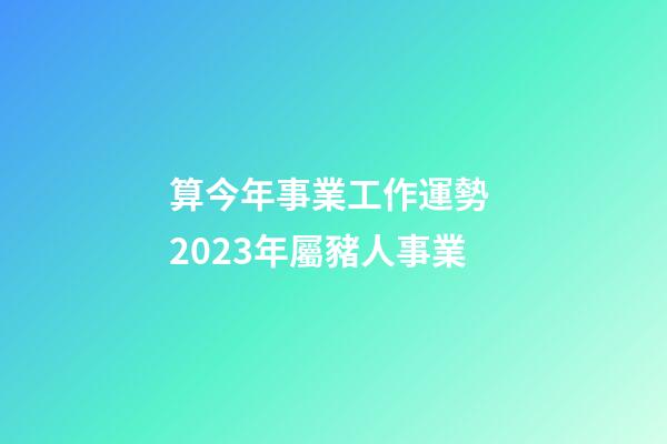 算今年事業工作運勢 2023年屬豬人事業
